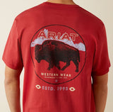 Ariat SS26 Mens Patriot Buffalo Coin TShirt