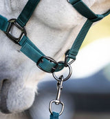 Horseware Dynasty Green Headcollar & Lead Rope