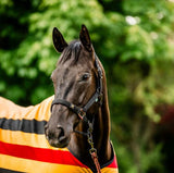 Horseware AW25 Newmarket Halter & Lead Set
