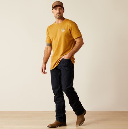 Ariat AW25 Mens Serape Seal TShirt