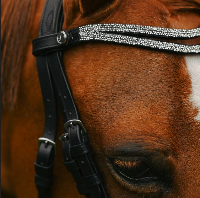 Lumi Pony Princess Bridle