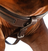 Horseware Micklem Breastplate with Martingale