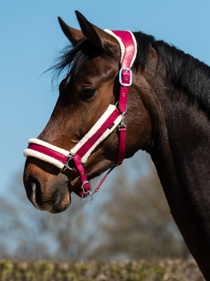 PS of Sweden AW25 Premium Fluffy Halter