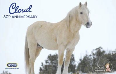 Breyer Traditional Cloud 30th Anniversary Edition Wild Stallion of the Rockies