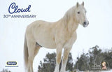 Breyer Traditional Cloud 30th Anniversary Edition Wild Stallion of the Rockies