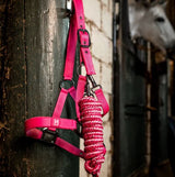 Horseware AW25 Newmarket Halter & Lead Set