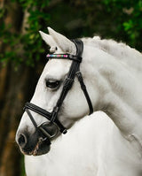 Lumi Pony Rainbow Bridle