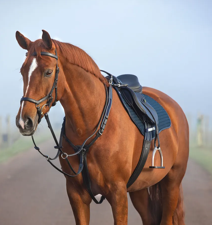 Horseware Micklem Breastplate with Martingale