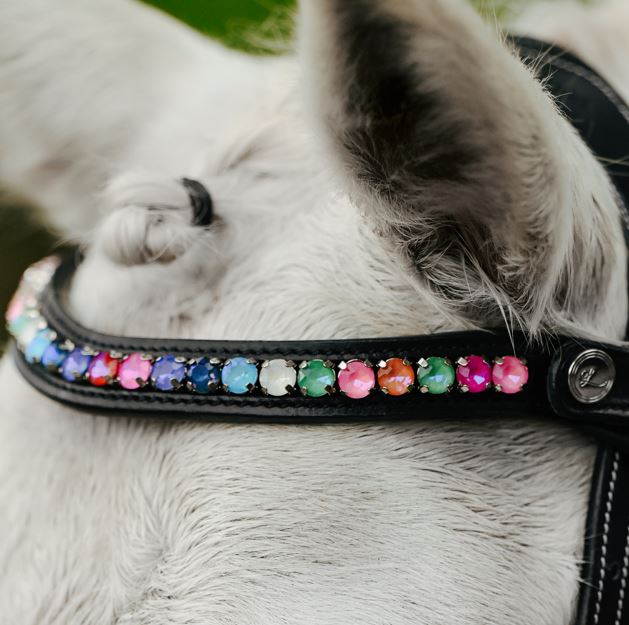 Lumi Pony Rainbow Bridle