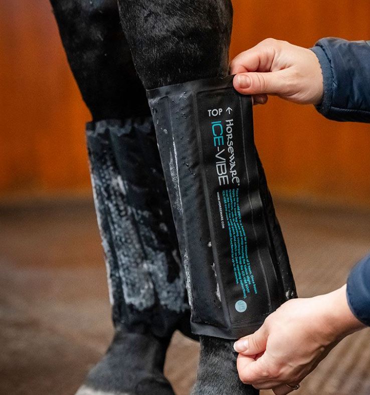 Horseware AW26 Ice Vibe Leg Wraps