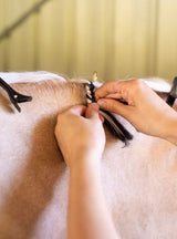 Hairy Pony Fake It Mane & Tail Enhancement Pack of 5