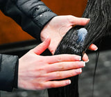 Hairy Pony Terrific Tails Kit