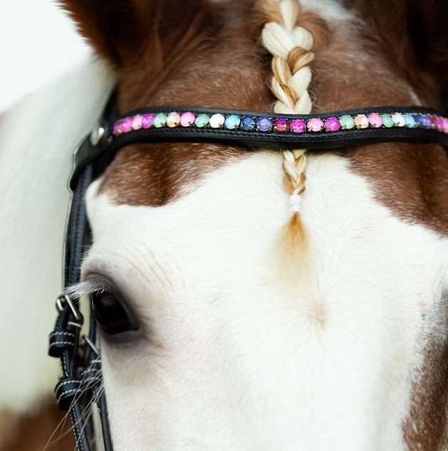 Lumi Pony Rainbow Bridle