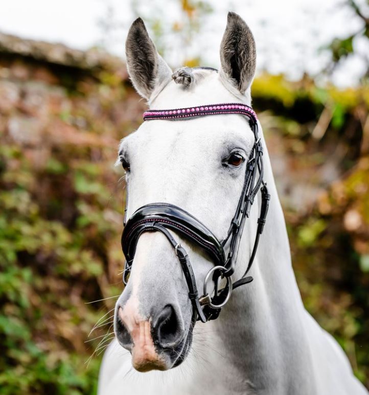 Horseware Diamante Flash Bridle