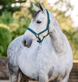 Horseware Dynasty Green Headcollar & Lead Rope