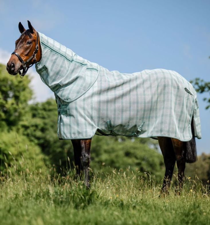 Horseware AW26 Newmarket Plus Flysheet Witney Dynasty
