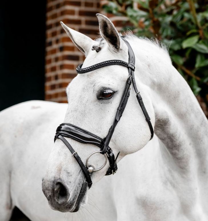 Horseware Diamante Flash Bridle