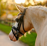 Lumi Pony Unicorn Bridle