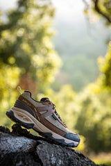 Ariat AW26 Womens Traverse Low H20 Brown Bark