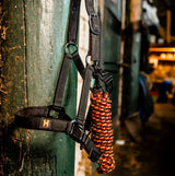 Horseware AW25 Newmarket Halter & Lead Set
