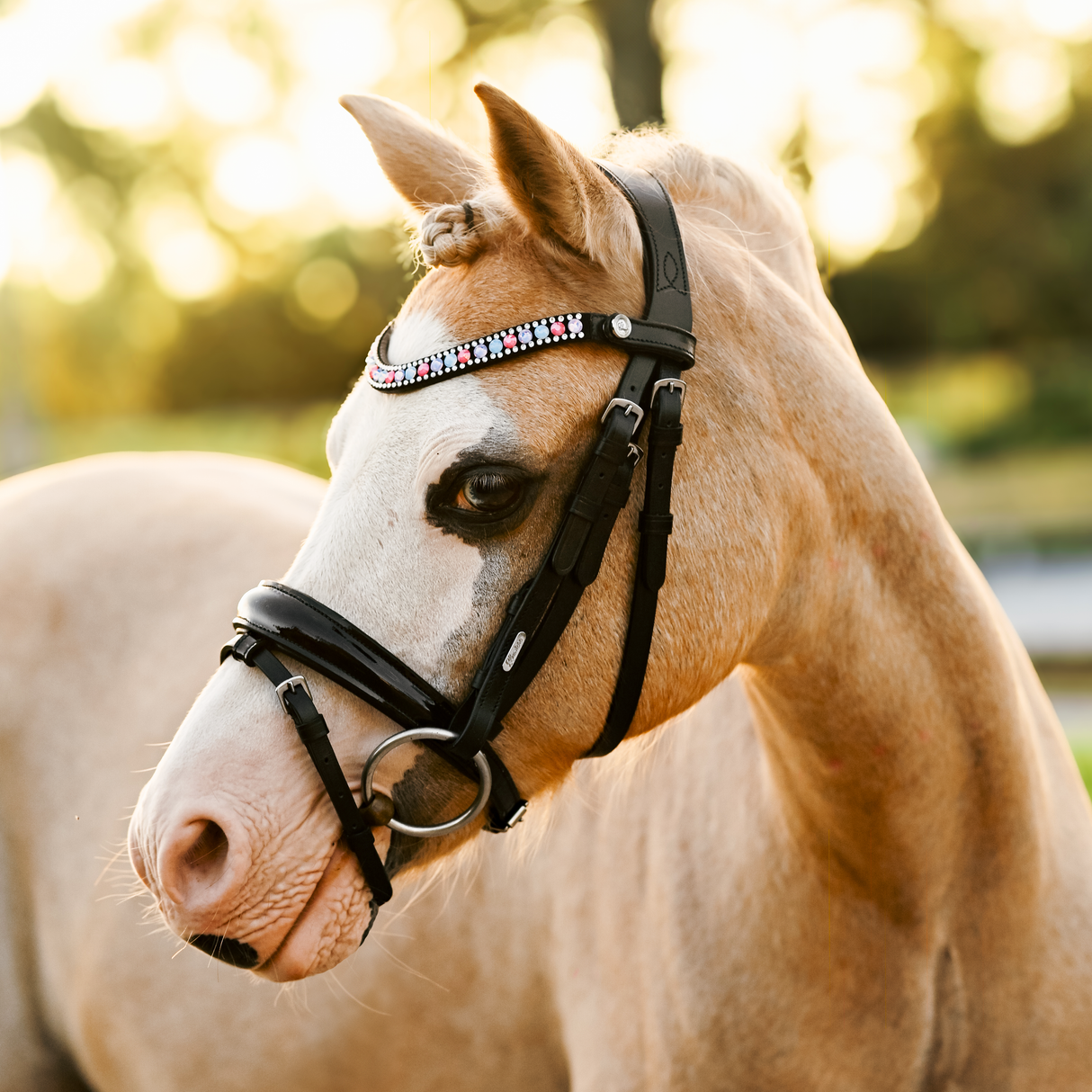 Lumi Pony Unicorn Bridle