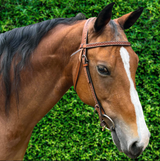 Ezy Ride Bridle with Stamping -Chestnut