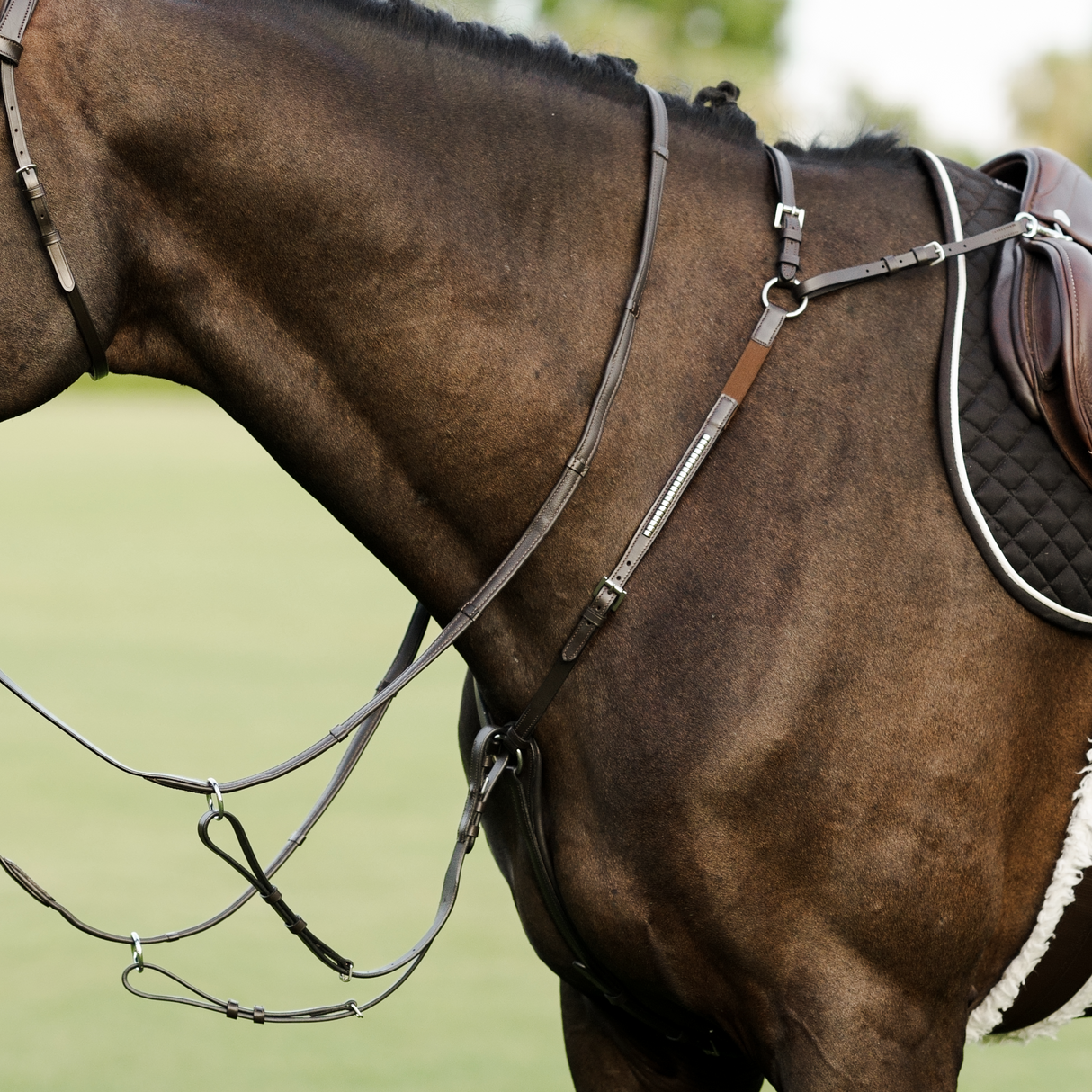 Lumiere AW26 Perseus Breastplate