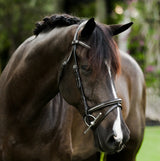 Lumiere AW26 Perseus Bridle