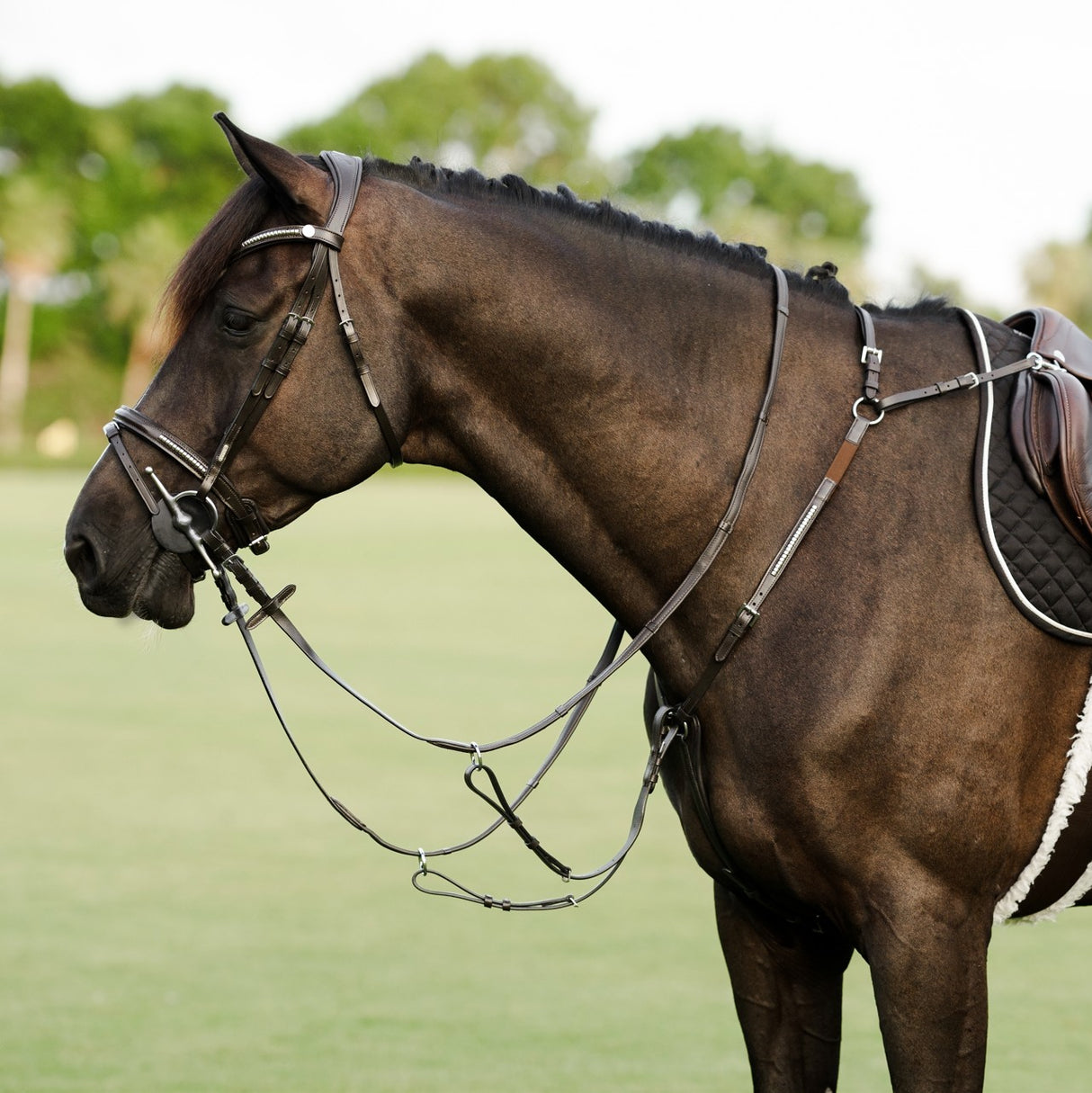 Lumiere AW26 Perseus Breastplate