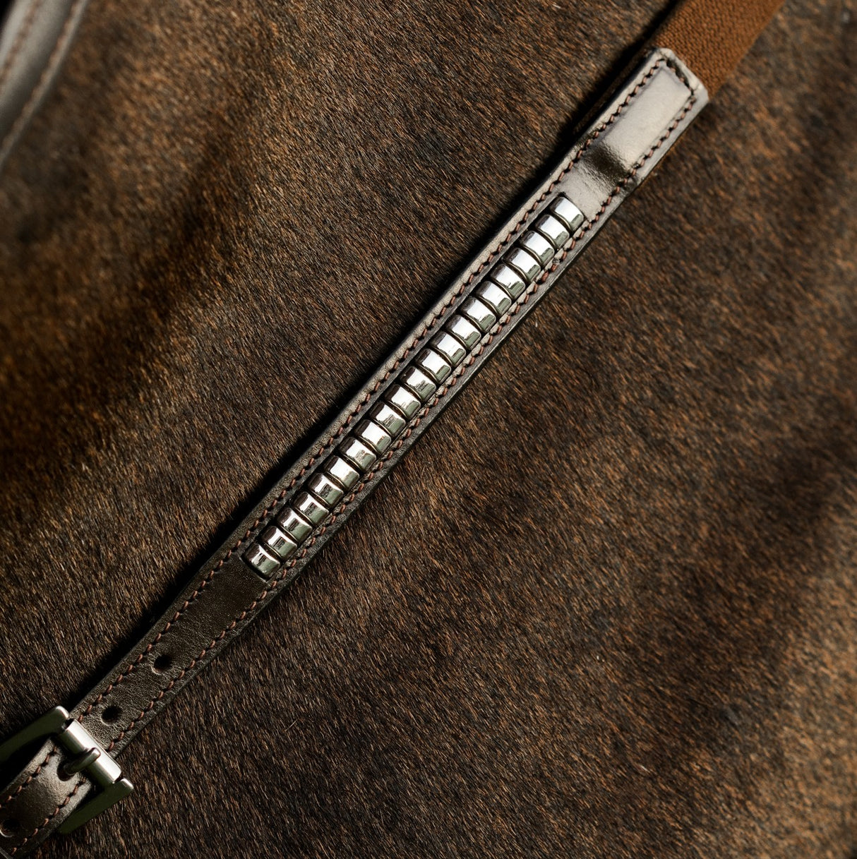 Lumiere AW26 Perseus Breastplate