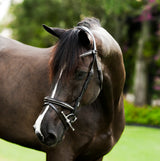 Lumiere AW26 Perseus Bridle