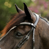 Lumiere AW26 Perseus Bridle