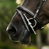 Lumiere AW26 Perseus Bridle