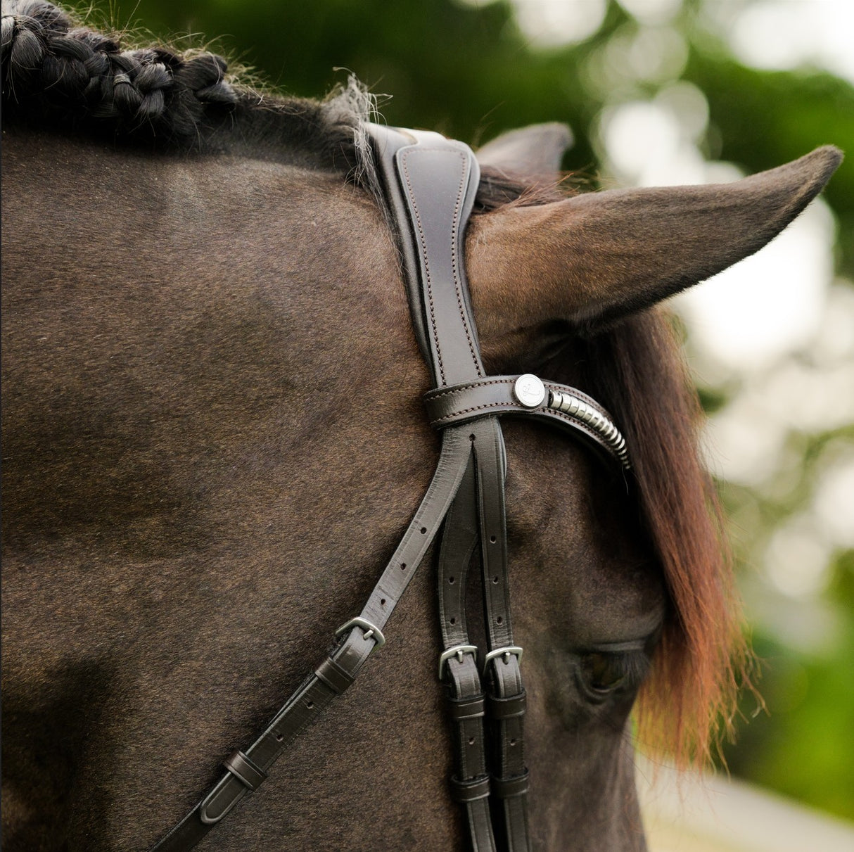 Lumiere AW26 Perseus Bridle