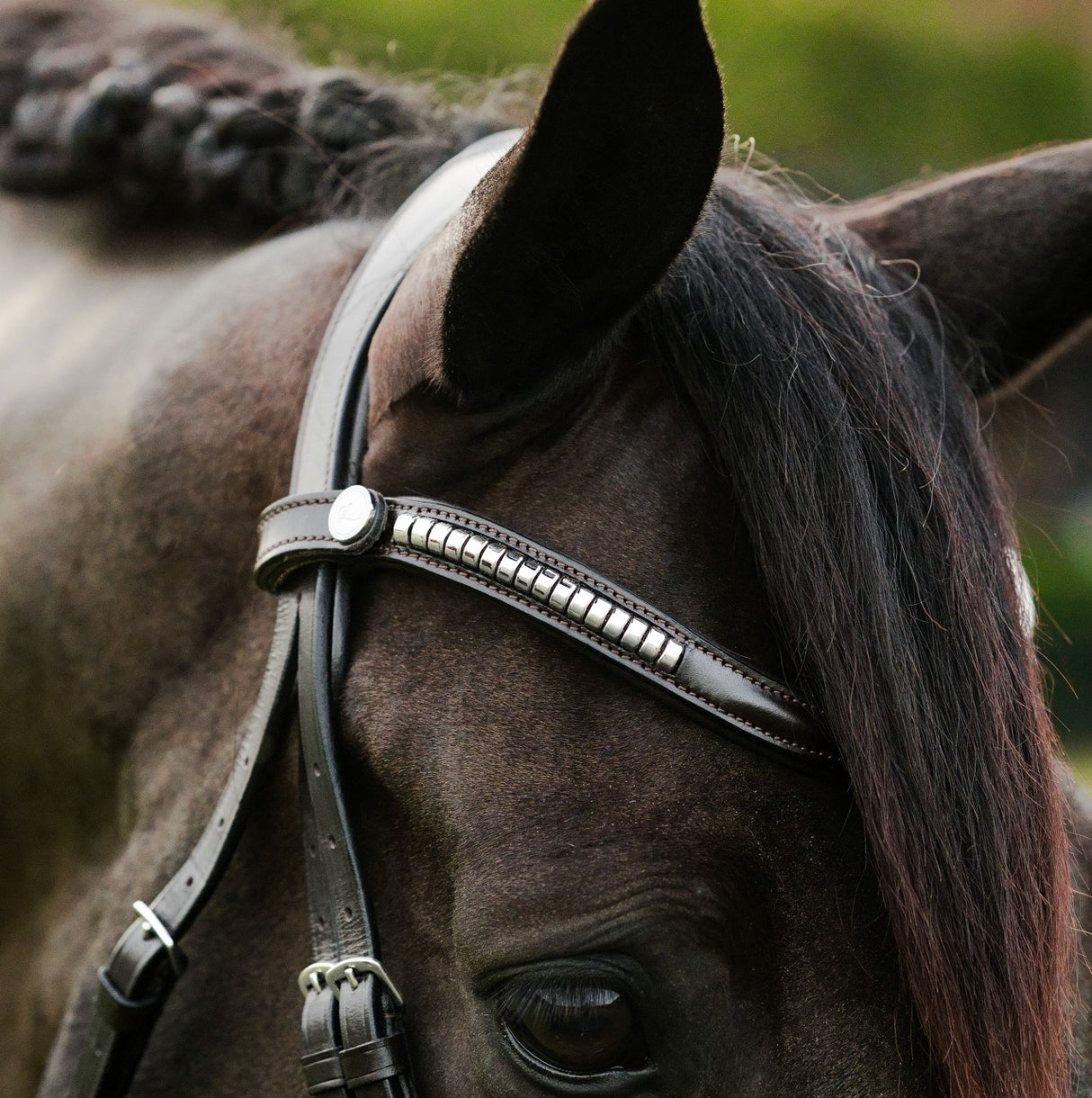 Lumiere AW26 Perseus Bridle