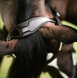 Lumiere AW26 Perseus Bridle