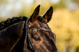 Lumiere AW26 Pia Grackle Bridle