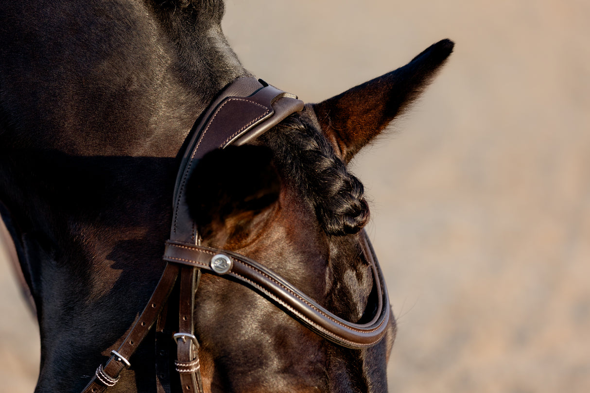 Lumiere AW26 Pia Grackle Bridle