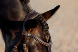 Lumiere AW26 Pia Grackle Bridle