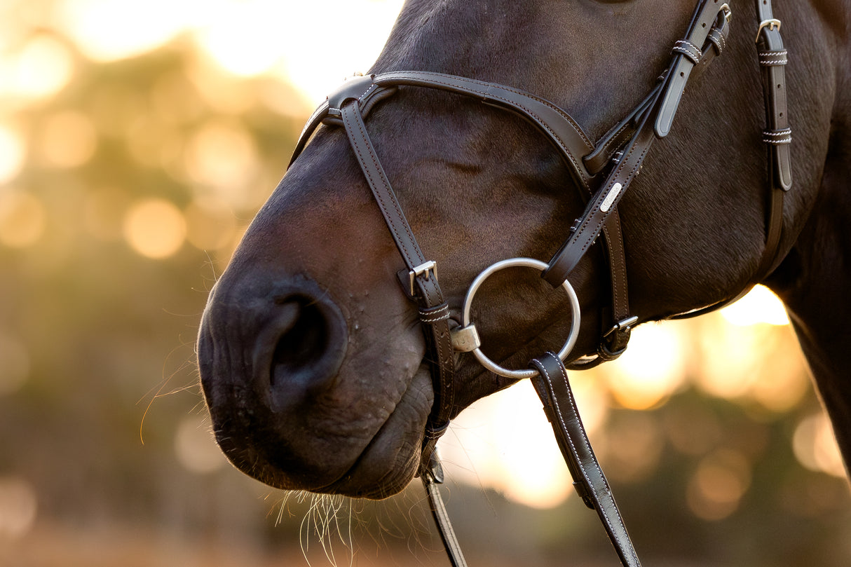 Lumiere AW26 Pia Grackle Bridle