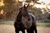 Lumiere AW26 Pia Grackle Bridle
