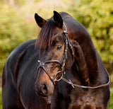 Lumiere AW26 Pia Grackle Bridle