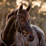 Lumiere AW26 Pia Grackle Bridle