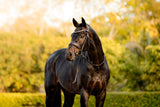 Lumiere AW26 Pippa Bridle