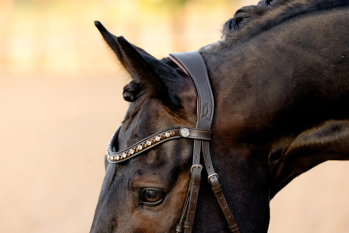 Lumiere AW26 Pippa Bridle