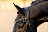 Lumiere AW26 Pippa Bridle