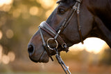 Lumiere AW26 Pippa Bridle