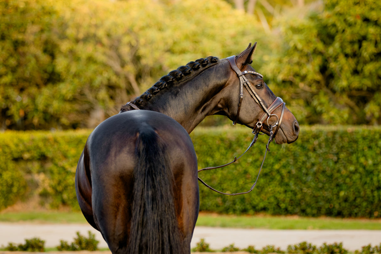 Lumiere AW26 Pippa Bridle
