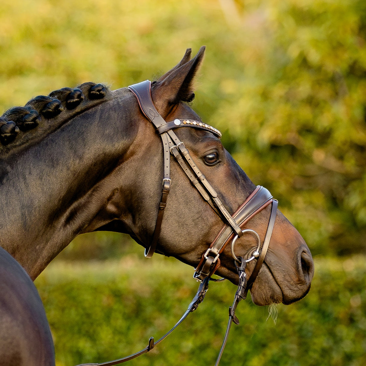Lumiere AW26 Pippa Bridle