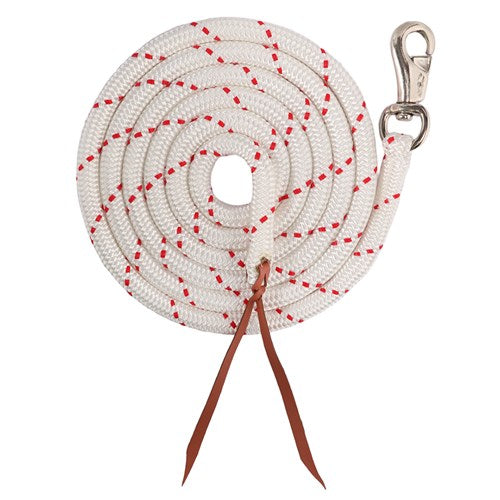 Training Rope 16mm with Bull Snap 23'
